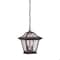 Homeroots 12 x 9 x 9 in. Aiken 2-Light Architectural Bronze Hanging Light 397978 - alternate 3